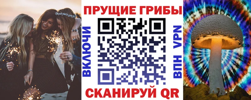 Псилоцибиновые грибы Psilocybe  MEGA   Вятские Поляны 